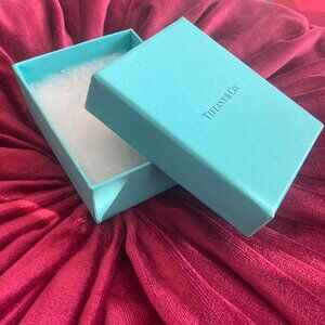 Tiffany & Co. Little Blue Box  (small rectangle, perfect for jewelry!)